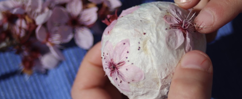 header oeufs.001