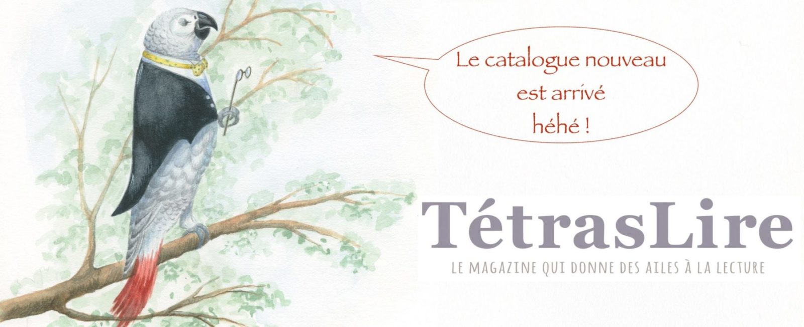 header_catalogue