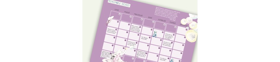 VIGNETTE CALENDRIER novembre.001