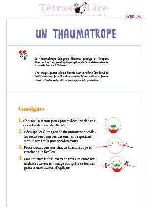 VIGNETTE FICHE THAUMATROPE