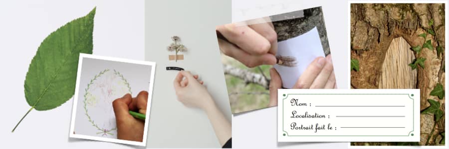MIDDLE BLOG - ARBRE.001 copie