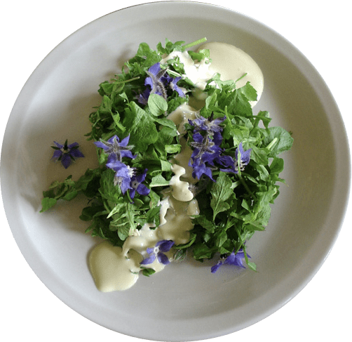 assiette couplan