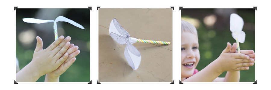 Bandeau libellule.001