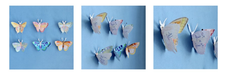 COLLECTION PAPILLON MIDDLE.001