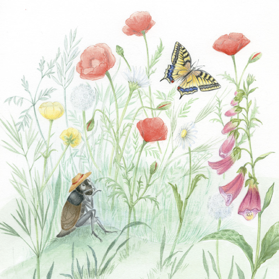 Coture papillon.001