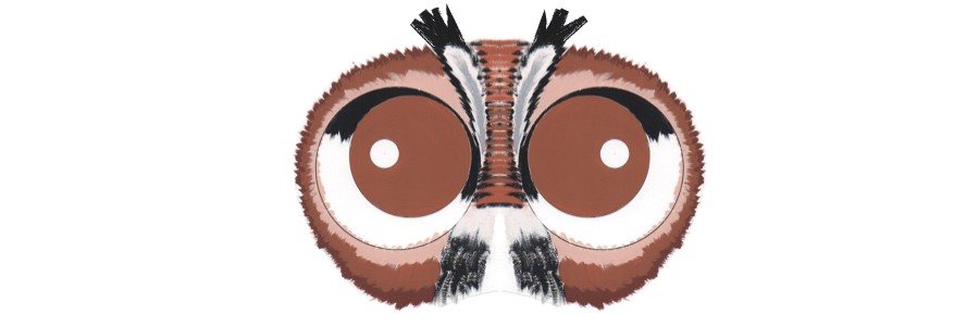 HEADER BLOG masque chouette.001