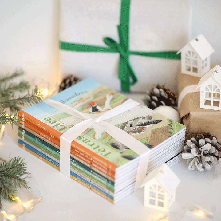 PACK_10_ETR_NOEL_2021